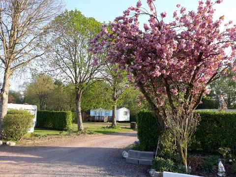 Camping  Des Peupliers - Camping Pas-de-Calais - Image N°5