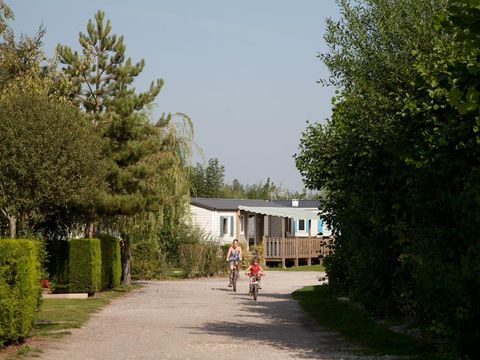 Camping Le Champ Neuf - Camping Somme - Image N°15