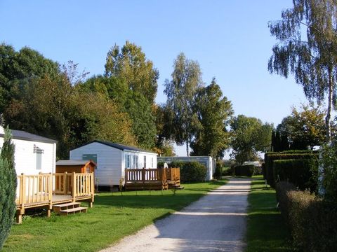 Camping Des 3 Tilleuls - Camping Pas-de-Calais - Image N°25