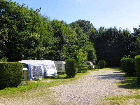 Camping Les Nenuphars - Camping Nord - Image N°3