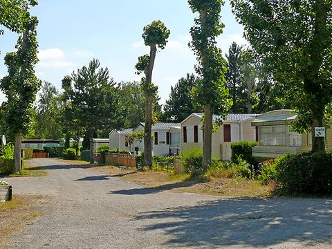 Caravaning L'Orée du Bois - Camping Pas-de-Calais - Image N°3