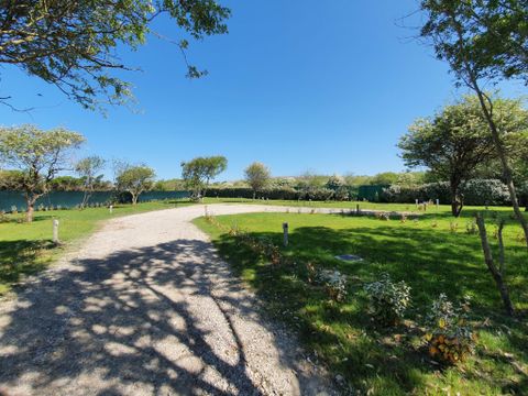 Camping Paradis Belle Dune - Camping Pas-de-Calais - Image N°21