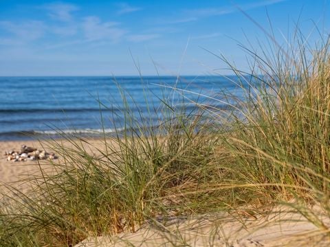 Camping Domaine de La Pinede - Camping Pas-de-Calais - Image N°27