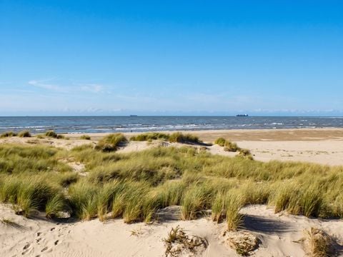 Camping Domaine de La Pinede - Camping Pas-de-Calais - Image N°0