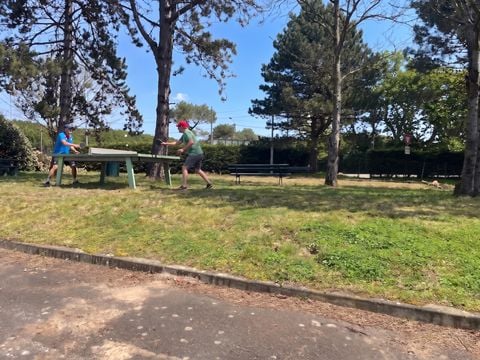 Camping Domaine de La Pinede - Camping Pas-de-Calais - Image N°3
