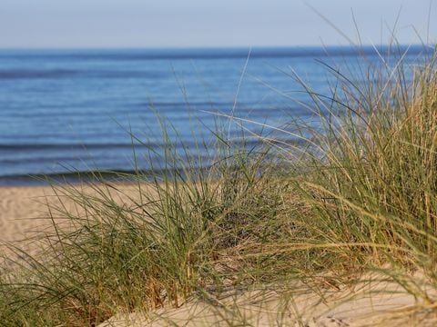 Camping Domaine de La Pinede - Camping Pas-de-Calais - Image N°30