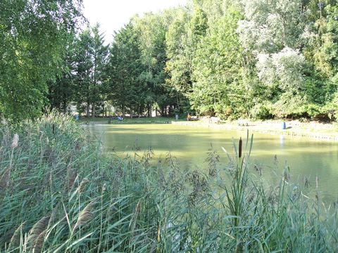 Camping les Alouettes et l'Image - Camping Nord - Image N°7
