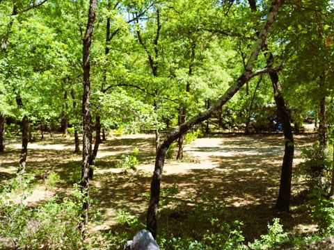 Flower Camping Jas du Moine - Camping Alpes-de-Haute-Provence - Image N°35