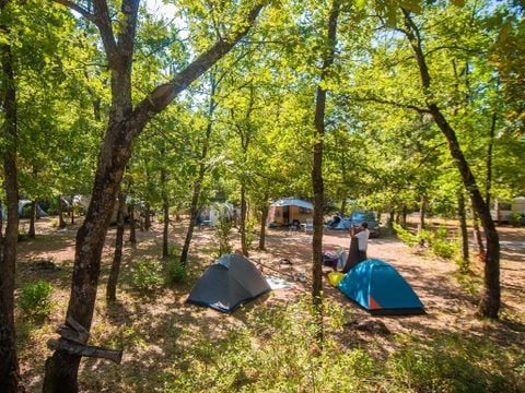 Flower Camping Jas du Moine - Camping Alpes-de-Haute-Provence - Image N°4