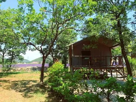 Tente en toile et en bois 4 personnes - Cabane Lodge sur Pilotis Confort 27m² - 2 chambres + terrasse couverte