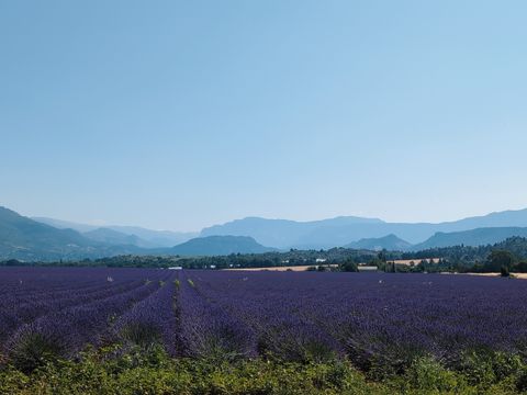 Flower Camping Jas du Moine - Camping Alpes-de-Haute-Provence - Image N°37