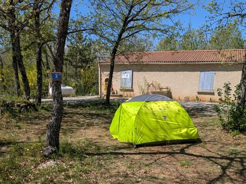 Flower Camping Jas du Moine - Camping Alpes-de-Haute-Provence - Image N°31