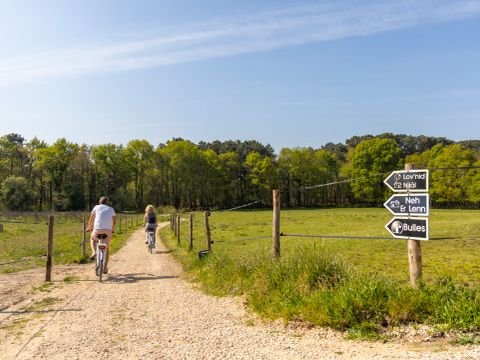 Domaine Dihan Evasion - Camping Morbihan - Image N°40