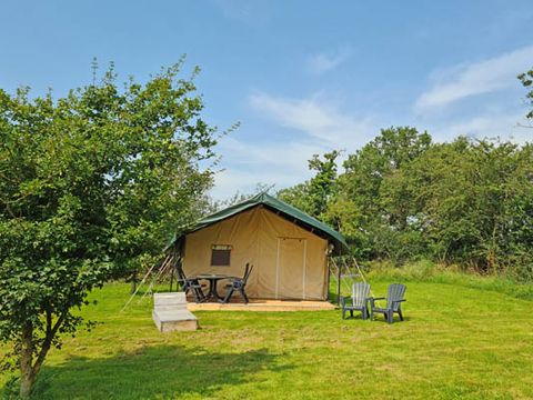 Camping Le Petit Moulin - Camping Allier - Image N°21
