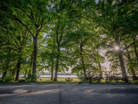 Domaine de la Vingeanne - Camping Haute-Marne - Afbeelding N°2