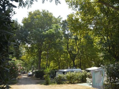 Camping Albizia - Camping Pyrenees-Orientales - Image N°2