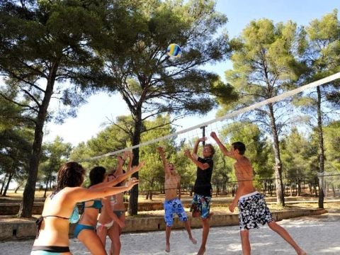 Camping AEC Vacances Les Dauphins - Camping Var