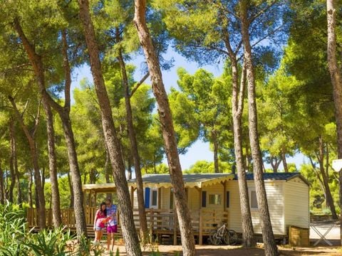 Camping AEC Vacances Les Dauphins - Camping Var - Image N°4