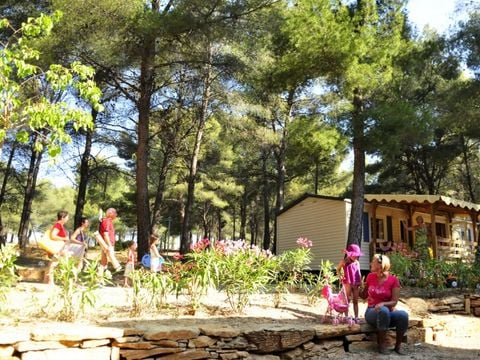 Camping AEC Vacances Les Dauphins - Camping Var - Image N°3