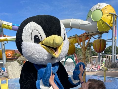 Camping Le Château - Camping Vendée - Image N°22