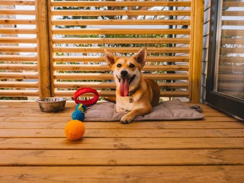 MOBILHOME 4 personnes - CANI COTTAGE 2 chambres env. 30m²