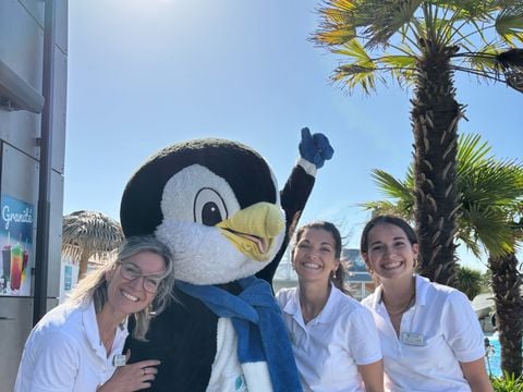 Camping Le Château - Camping Vendée - Image N°64