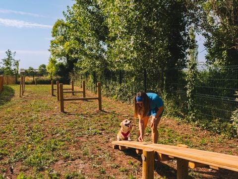 Camping Le Château - Camping Vendée - Image N°45