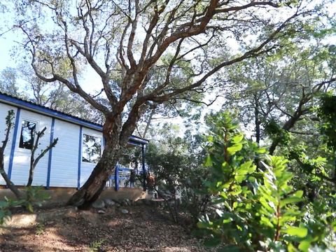 CHALET 5 personnes - Chalet Catégorie A (dimanche/dimanche) -