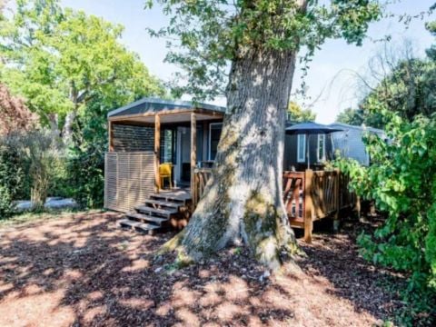 MOBILHOME 4 personnes - Cottage Pyla 3 Pièces 4 Personnes Climatisé + TV