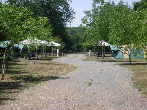 Camping Lazy Duck - Camping Vienne - Image N°3