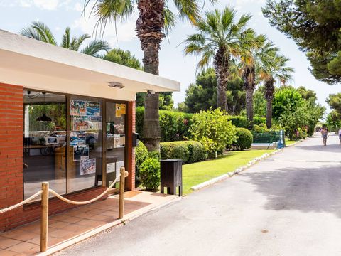 Camping El Garrofer - Camping Barcelone - Image N°15