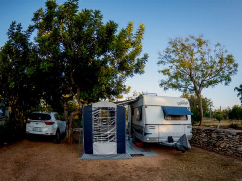 Camping L'Orangeraie - Camping Paradis - Camping Castellón - Image N°3