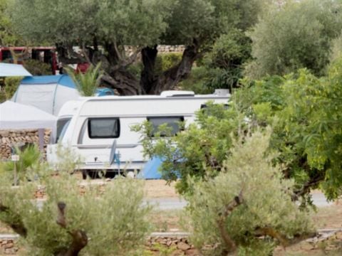 Camping L'Orangeraie - Camping Paradis - Camping Castellón - Image N°0