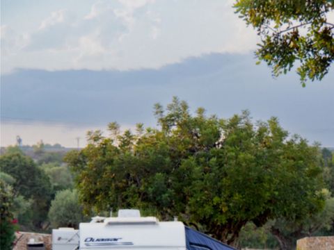 Camping L'Orangeraie - Camping Paradis - Camping Castellón - Image N°5