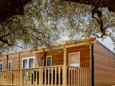 MOBILHOME 8 personnes - CHERRY COTTAGE 3CH 2B 6/8 P