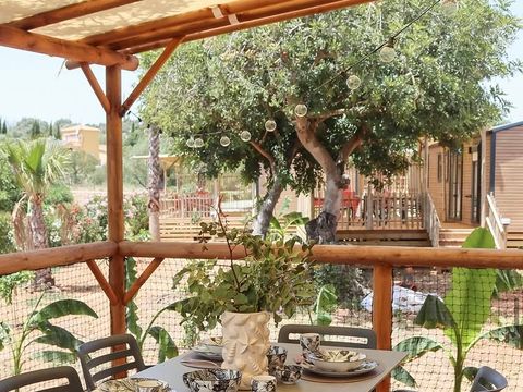 Camping L'Orangeraie  - Camping Castellón - Image N°20