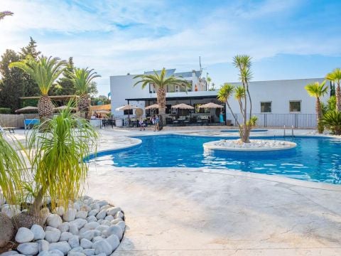 Camping L'Orangeraie  - Camping Castellón - Image N°8