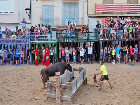 Camping L'Orangeraie  - Camping Castellón - Image N°5