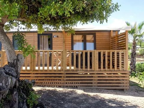 Camping L'Orangeraie  - Camping Castellón - Image N°30