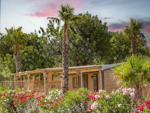 Camping L'Orangeraie  - Camping Castellón - Image N°28