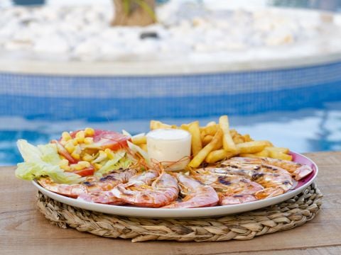 Camping L'Orangeraie  - Camping Castellón - Image N°4