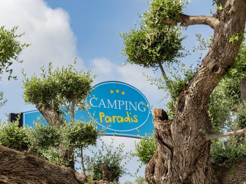 Camping L'Orangeraie - Camping Paradis - Camping Castellón - Image N°2
