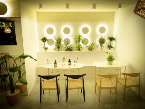 Camping L'Orangeraie  - Camping Castellón - Image N°3