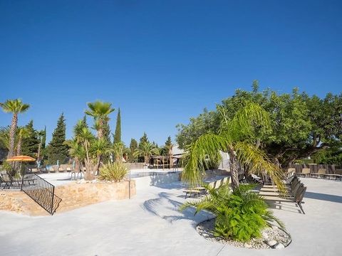 Camping L'Orangeraie  - Camping Castellón - Image N°26