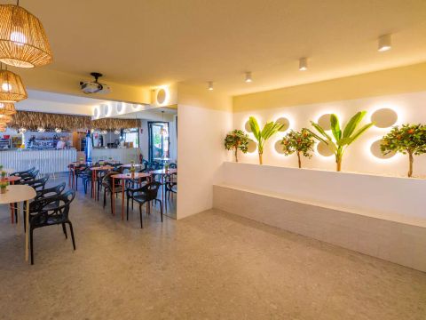 Camping L'Orangeraie  - Camping Castellón - Image N°23