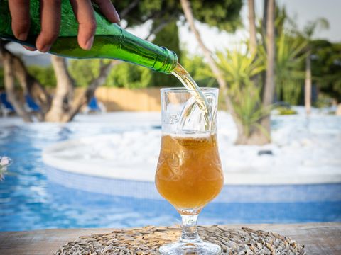 Camping L'Orangeraie  - Camping Castellón - Image N°14