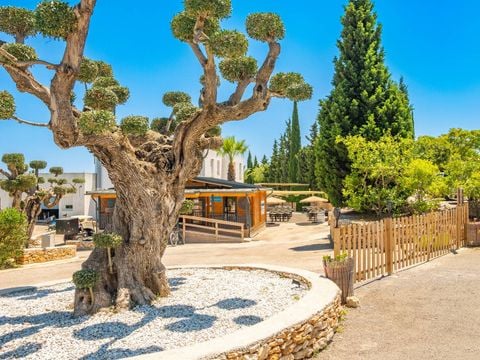 Camping L'Orangeraie  - Camping Castellón - Image N°25