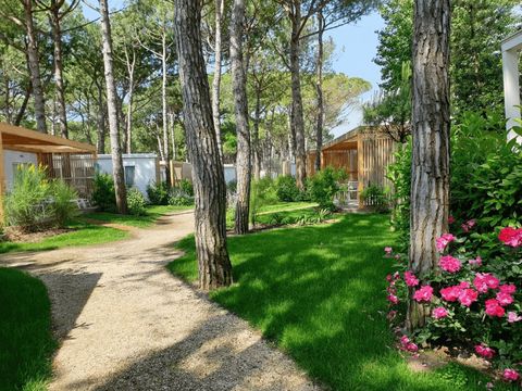 Camping Mediterraneo - Camping Venise - Image N°48
