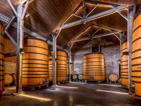 HÉBERGEMENT INSOLITE 4 personnes - Foudreaterre 1 chambre (Petit déjeuner, lit/ménage fait, panier apéro) + SPA 2/4 pers