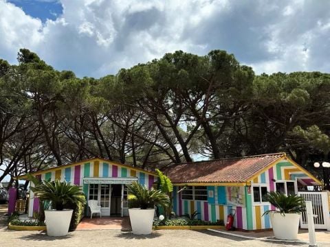 Camping Vall d'Or - Camping Gérone - Image N°3